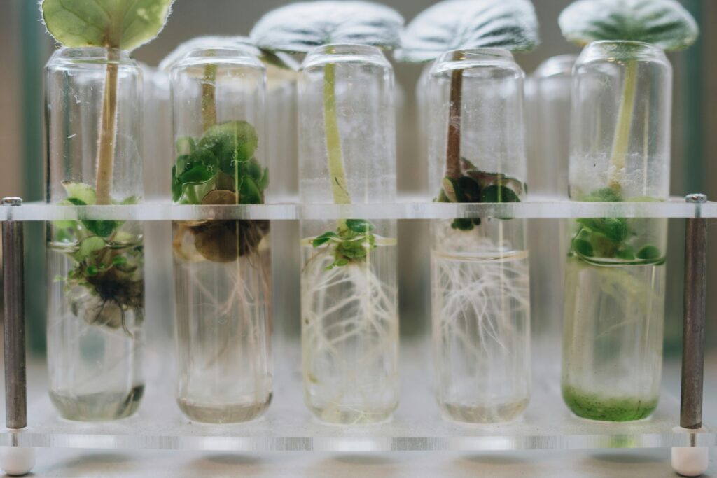 Top 10 In-Demand College Courses in the Philippines - biotechnology